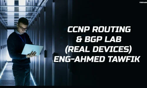 CCNP Routing & BGP Lab (Real Devices)