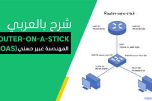 Router-on-a-Stick-(ROAS)